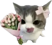 a gray and white cat with a pink bow on its head is holding a bouquet of flowers .