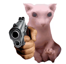 a person holding a gun pointing at a pink cat