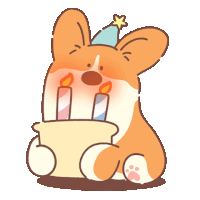 a corgi wearing a party hat is holding a birthday cake with candles