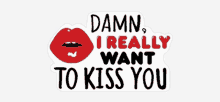 a sticker that says " damn i really want to kiss you " with red lips