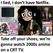 a poster that says ' i lied i don 't have netflix '