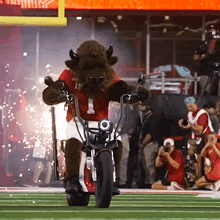 a bison mascot is riding a motorcycle on a field