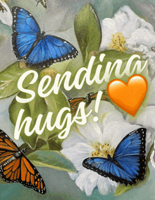 a picture of butterflies with the words sending hugs