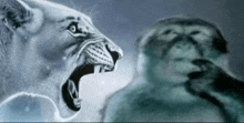 a drawing of a lion and a monkey with their mouths wide open