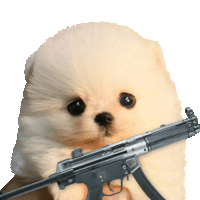 a small puppy is holding a gun in its mouth