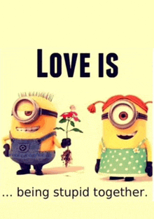 a couple of minions standing next to each other with the words love is being stupid together below them