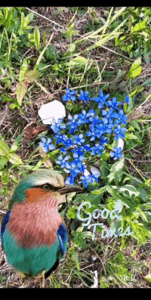 a bird is standing next to a bunch of blue flowers with the words good times written on the bottom