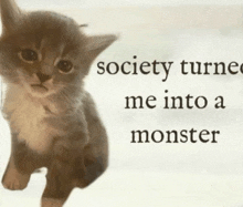 a kitten is sitting in front of a sign that says society turned me into a monster