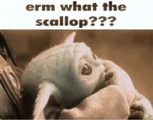 a picture of a baby with the words " erm what the scallop " on the bottom