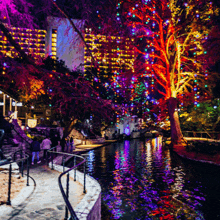 a river surrounded by trees and buildings with christmas lights