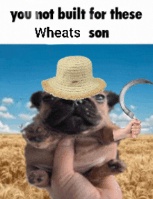 a person holding a pug wearing a straw hat and a scythe