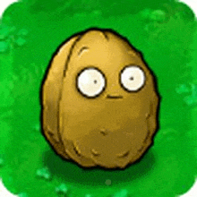 a cartoon walnut with big eyes is sitting on a green field .