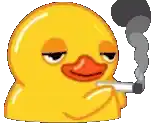 a yellow rubber duck is smoking a cigarette with smoke coming out of it 's mouth .