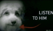 a picture of a dog with the words listen to him in the background