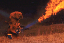 a painting of a bear standing in a field with flames coming out of its mouth