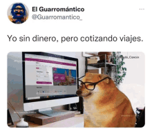 a dog wearing glasses sits in front of a computer screen with the caption yo sin dinero pero cotizando viajes