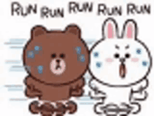 a brown bear and a white rabbit are running in a race .