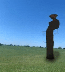 a silhouette of a person standing in a grassy field with a bird on top of their head .