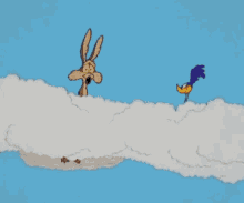 a coyote and a road runner are standing on a cloud in the sky