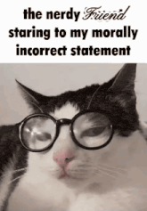 a black and white cat wearing glasses and a caption that says `` the nerdy friend staring to my morally incorrect statement ''