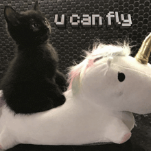a black cat is sitting on a stuffed unicorn