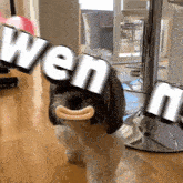 a dog with a smiley face and the word wenn on its head