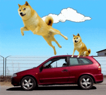 two dogs are jumping over a car with a cloud in the background