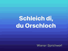 a blue background with the words schleich di du orschloch on it