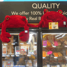 two stuffed red frogs are sitting in front of a sign that says " quality "