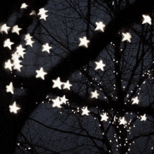 a tree with lots of white stars on it at night