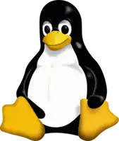 a black and white penguin with a yellow beak and yellow feet