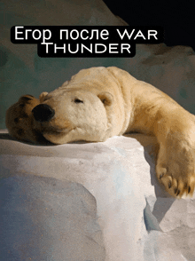 a polar bear laying on top of a pile of ice with the words " eгор после war thunder " written above it