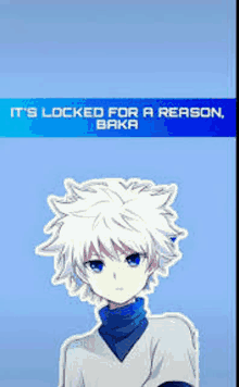 it 's locked for a reason , baka , a picture of a boy with white hair and blue eyes .