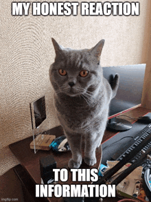 a cat is standing on a desk next to a keyboard with the caption my honest reaction to this information