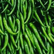 a bunch of green peppers are stacked on top of each other in a pile .