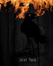 a black bird is silhouetted against a wooden wall with flames behind it and the words " בול זבוב " below it