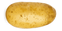 a potato with brown spots on it is against a white background