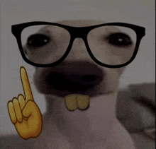 a dog wearing glasses and a yellow hand pointing up