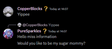 a screenshot of a conversation between copperblocks and yipplee