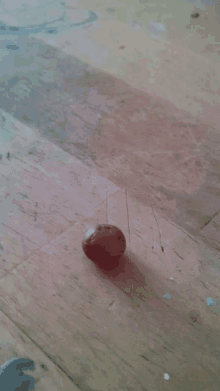 a small brown object is on a wooden surface