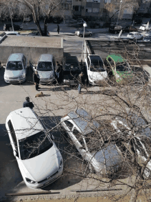 a group of cars are parked in a parking lot and one of them has a license plate that says vw