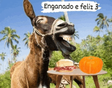 a picture of a donkey with the words enganado e feliz 3 on the bottom