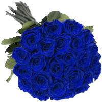 a bunch of blue roses with green leaves