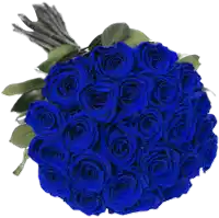 a bunch of blue roses with green leaves