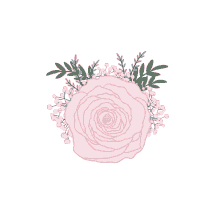 a pink rose surrounded by baby 's breath and leaves on a white background