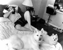 a man laying on a bed taking a picture of two white dogs