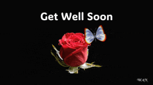a red rose with two butterflies and the words get well soon