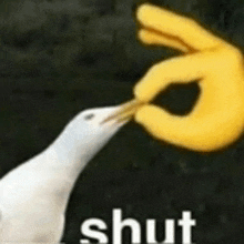 a white bird is eating a yellow finger with the word shut in the background .