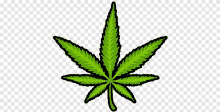 a green marijuana leaf with a black outline is on a transparent background .