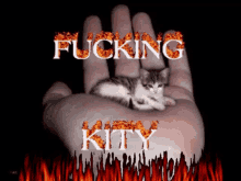 a person holding a kitten in their hand with the words fucking kitty written in flames